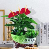 红掌仿真植物假花蝴蝶兰套装花卉家居装饰品绢花客厅摆件花艺盆景