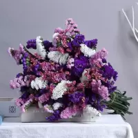 云南满天星勿忘我干花束大束 客厅装饰品摆件真花花卉鲜花插花|紫白粉 18-21支+草+花瓶