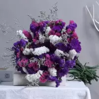 云南满天星勿忘我干花束大束 客厅装饰品摆件真花花卉鲜花插花|紫白红 18-21支+草
