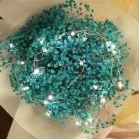 鲜满天星束生日礼物送闺密教师节礼物情人节母亲节礼物|浅蓝色 中束带灯