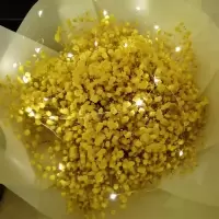 鲜满天星束生日礼物送闺密教师节礼物情人节母亲节礼物|黄色 中束带灯
