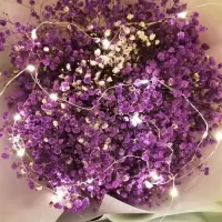 鲜满天星束生日礼物送闺密教师节礼物情人节母亲节礼物|紫色 中束带灯