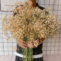 满天星大束鲜花花束家居客厅摆件小清新真花勿忘我生日干花论斤|橘色满天星 一斤（送灯串）