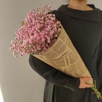 满天星勿忘我干花花束家居摆设客厅装饰摆件永生花鲜花情人节大束|厄尔多瓜玫红色满天星 中束