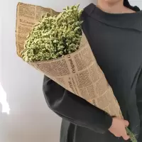 满天星勿忘我干花花束家居摆设客厅装饰摆件永生花鲜花情人节大束|厄尔多瓜黄水晶 超大束