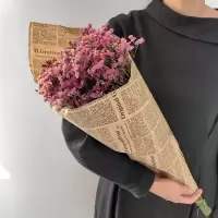 满天星勿忘我干花花束家居摆设客厅装饰摆件永生花鲜花情人节大束|厄尔多瓜红水晶 超大束