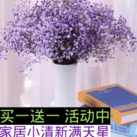 云南干花满天星花束家居装饰干花勿忘我百搭真花|紫色满天星 不送选项