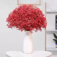 云南干花满天星花束家居装饰干花勿忘我百搭真花|大红满天星 送LED灯串