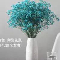云南干花满天星花束家居装饰干花勿忘我百搭真花|蓝色满天星 不送选项