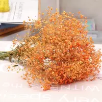云南直发满天星 干花花束 家居摆设 小清新 装饰家居摆设花混合束|橘色满天星 超大叔
