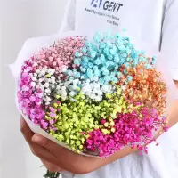 云南直发满天星 干花花束 家居摆设 小清新 装饰家居摆设花混合束|多姿七彩满天星 6菊花+玻璃花瓶