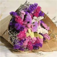 买1送1勿忘我满天星干花花束家居装饰花鲜花插花客厅花束|紫玫粉黄+情人草 40厘米[10枝]