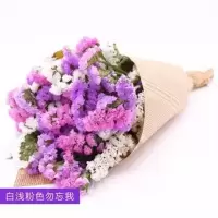 买1送1勿忘我满天星干花花束家居装饰花鲜花插花客厅花束|白浅紫粉勿 40厘米40枝(花篮2个)