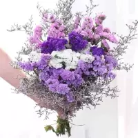 买1送1勿忘我满天星干花花束家居装饰花鲜花插花客厅花束|深紫浅紫粉白+草 40厘米40枝(花篮2个)