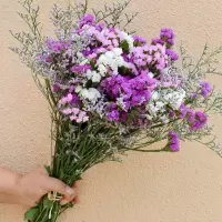 买1送1勿忘我满天星干花花束家居装饰花鲜花插花客厅花束|粉红白+情人草 40厘米40枝(花篮2个)