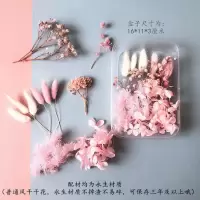 永生花满天星雏菊干花花材包浮游花压花幼儿园手工花艺diy材料包|粉新娘