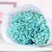 云南勿忘我鲜花满天星干花花束大束真花论斤散家居装饰品摆件|蓝星 一束不含瓶