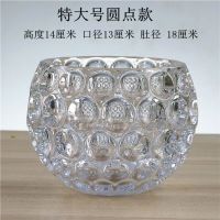 水培植物玻璃瓶圆形玻璃花瓶透明绿萝睡莲铜钱草水养花盆器皿容器|特大号圆点送定植篮营养液