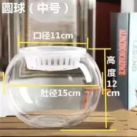 透明玻璃花瓶 绿萝水培花瓶 简约花瓶 圆形水培鱼缸 金鱼缸|15圆球+浅定植篮