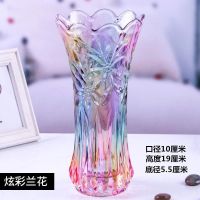 玻璃花瓶加厚创新款客厅卧室百合花富贵竹水培透明彩色玻璃干花瓶|小号兰花炫彩加厚无铅