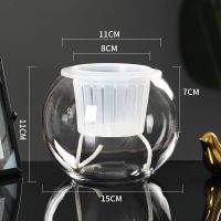 水培植物玻璃瓶水养绿萝花瓶花盆大号透明玻璃圆球鱼缸器皿容器|15圆球送土培篮+棉绳 中等