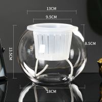 水培植物玻璃瓶水养绿萝花瓶花盆大号透明玻璃圆球鱼缸器皿容器|18圆球送土培篮+棉绳 中等