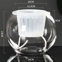 水培植物玻璃瓶水养绿萝花瓶花盆大号透明玻璃圆球鱼缸器皿容器|20圆球送土培篮+棉绳 中等