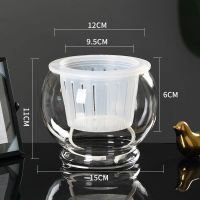 水培植物玻璃瓶水养绿萝花瓶花盆大号透明玻璃圆球鱼缸器皿容器|15D圆球送土培篮+棉绳 中等