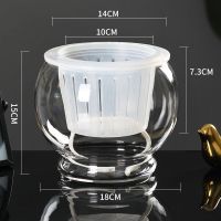 水培植物玻璃瓶水养绿萝花瓶花盆大号透明玻璃圆球鱼缸器皿容器|18D圆球送土培篮+棉绳 中等