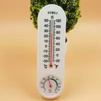 家用室内温度计 温湿度表 蔬菜大棚养殖用干湿温度计高精度温湿计|两支