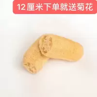 丝瓜络洗碗丝瓜瓤洗碗布加厚厨房家用水瓜百洁布洗碗布|精品12-15厘米1个装(试用)