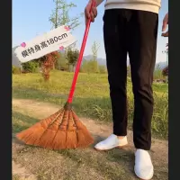 绿色植物鬃毛扫把棕扫帚扫地学校家用清洁扫把不粘头发