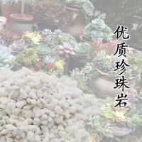 大粒珍珠岩颗粒粉末少绿植花卉多肉拌土建筑岩改变土壤酸性