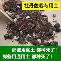 牡丹花盆栽土牡丹花营养土芍药土种花土腐殖土花肥料