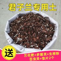 君子兰花土君子兰土兰花营养土腐叶腐殖盆栽种植土壤