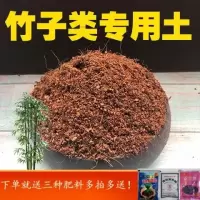 竹子土竹子土竹子类盆栽营养土酸性沙质土壤家用绿植种植肥料