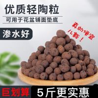 陶粒养花园艺陶土粒球花用多肉铺面盆栽垫底陶粒轻质透气水培