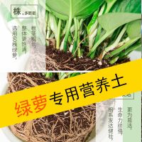 绿萝盆栽植物吊兰花卉多肉花土营养土通用君子兰花土