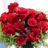 基地直发山东基地玫瑰花束花真花鲜花非洲菊鲜花速递礼物|红玫瑰18支送2支防损耗