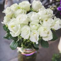 基地直发山东基地玫瑰花束花真花鲜花非洲菊鲜花速递礼物|白玫瑰18支送2支防损耗