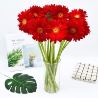 基地直发山东基地玫瑰花束花真花鲜花非洲菊鲜花速递礼物|红色非洲菊16+送4枝防损