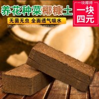 无菌椰粉椰砖椰土兰花土营养土无土栽培种菜多肉土