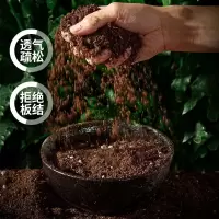 泥炭土营养土养花配方土月季土绣球花土通用型种植土