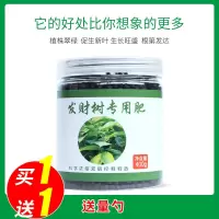 发树肥料花肥有机肥开花生缓释颗粒肥花卉植物营养液肥料