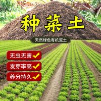 种菜土壤营养土蔬菜种土育苗有机肥料泥土家用阳台种菜种植土