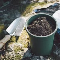 草莓土 盆栽四季草莓种植土肥草莓营养土壤 阳台栽培泥土