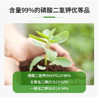 磷酸二氢钾通用花肥家用叶面肥催花促果磷钾肥复合水溶肥农用