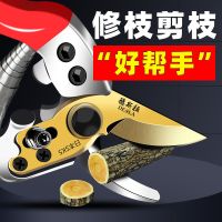sk5 果树修枝剪刀园艺修剪树枝园林省力修花枝剪
