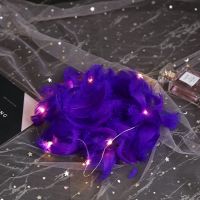 diy手工羽毛饰品装饰材料彩色绒毛礼盒填充物柔软100马卡龙羽毛|深紫羽毛1包 羽毛1包