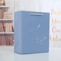 七夕礼物袋ins手提袋大小号学生迷你可爱生日伴手礼袋包装礼品袋|浅蓝色月亮 大号1个